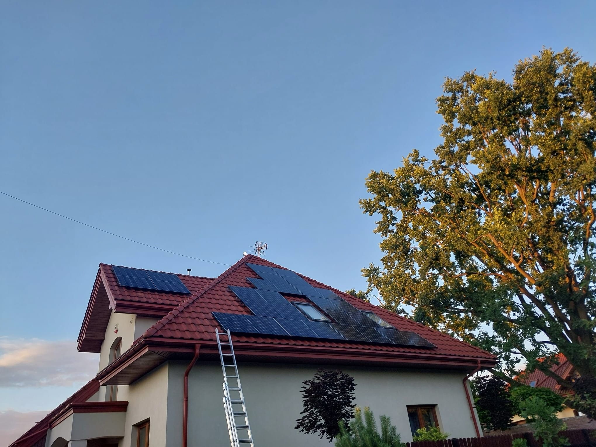 Dom z panelami fotowoltaicznymi na czerwonym dachu, drabina oparta o ścianę, błękitne niebo i korona drzewa w tle. Widok z dołu.