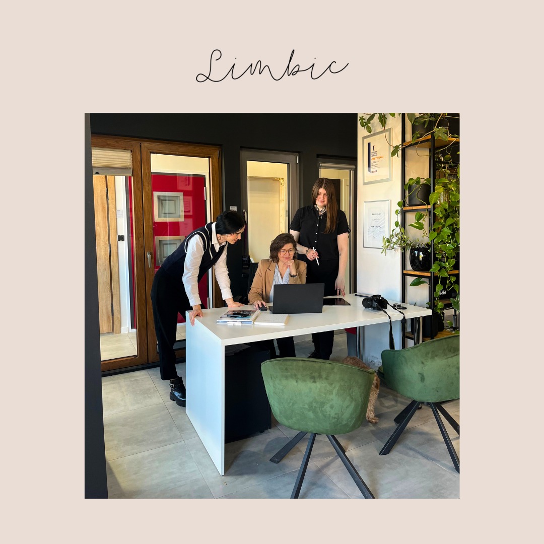 Zespół trzech kobiet w biurze, jedna pracuje na laptopie, pozostałe dwie konsultują się nad dokumentami. W tle okna i rośliny doniczkowe.