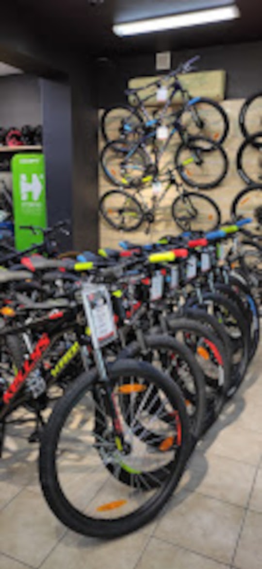 Rząd rowerów górskich w sklepie, z cenami na kierownicach, rowery wiszą na ścianie w tle, oświetlenie sufitowe.