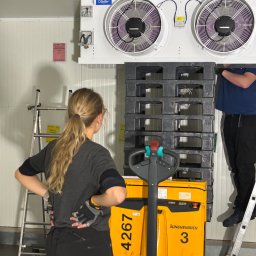 ICOOTECH SPÓŁKA Z OGRANICZONĄ ODPOWIEDZIALNOŚCIĄ - Montaż chłodni: kobieta obserwuje instalację dwóch wentylatorów chłodniczych na ścianie, obok palety i wózka widłowego Jungheinrich, drabina w tle.