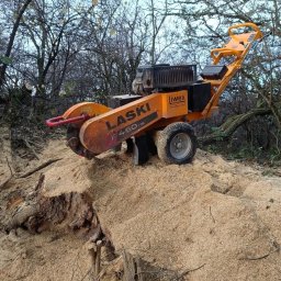 Wycinka drzew Wiśniowa 2