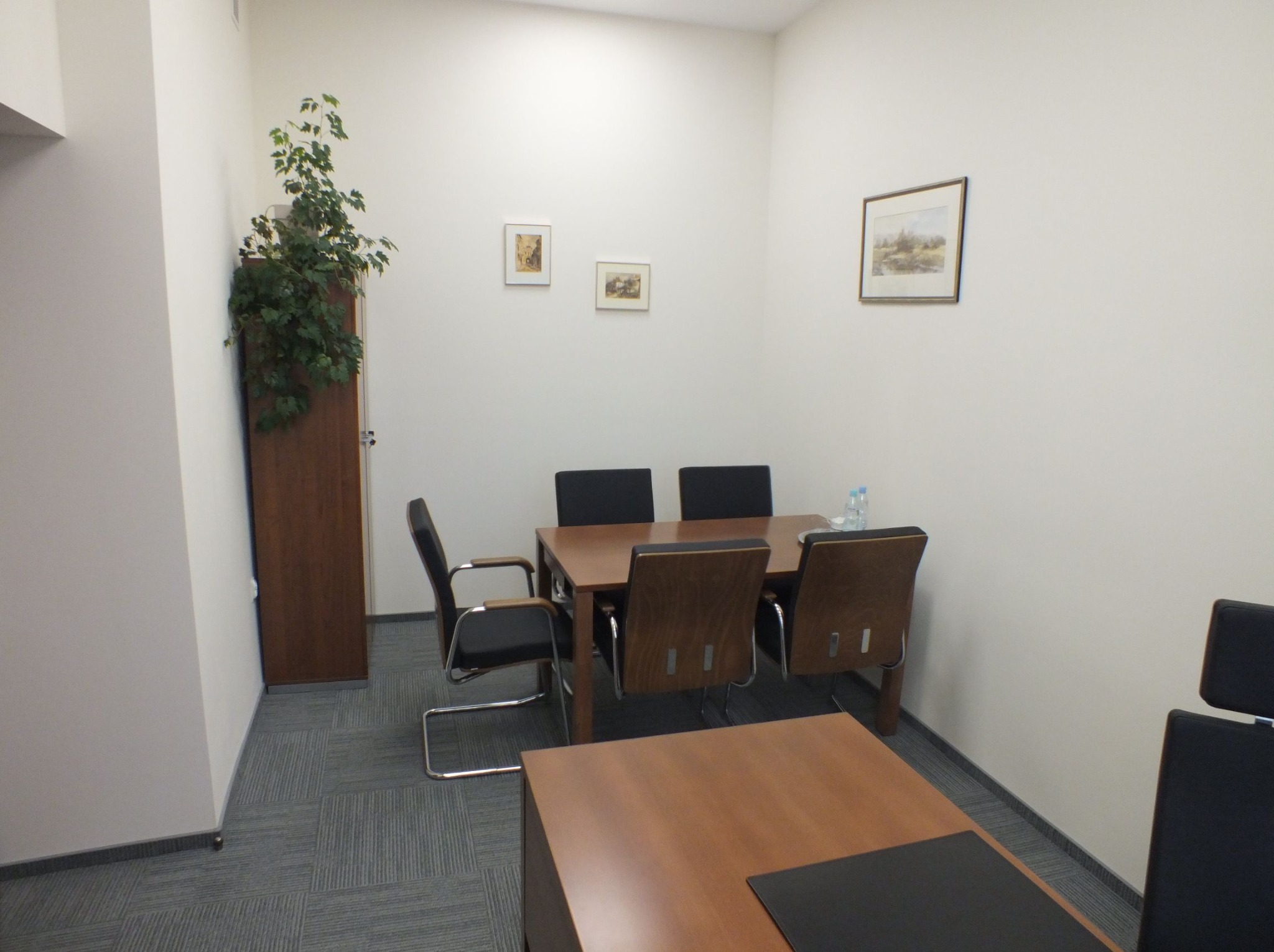 Nowoczesna aranżacja biura: drewniany stół konferencyjny z krzesłami, szafa z rośliną doniczkową i minimalistyczne obrazy na ścianie. Stonowana kolorystyka, elegancki design.