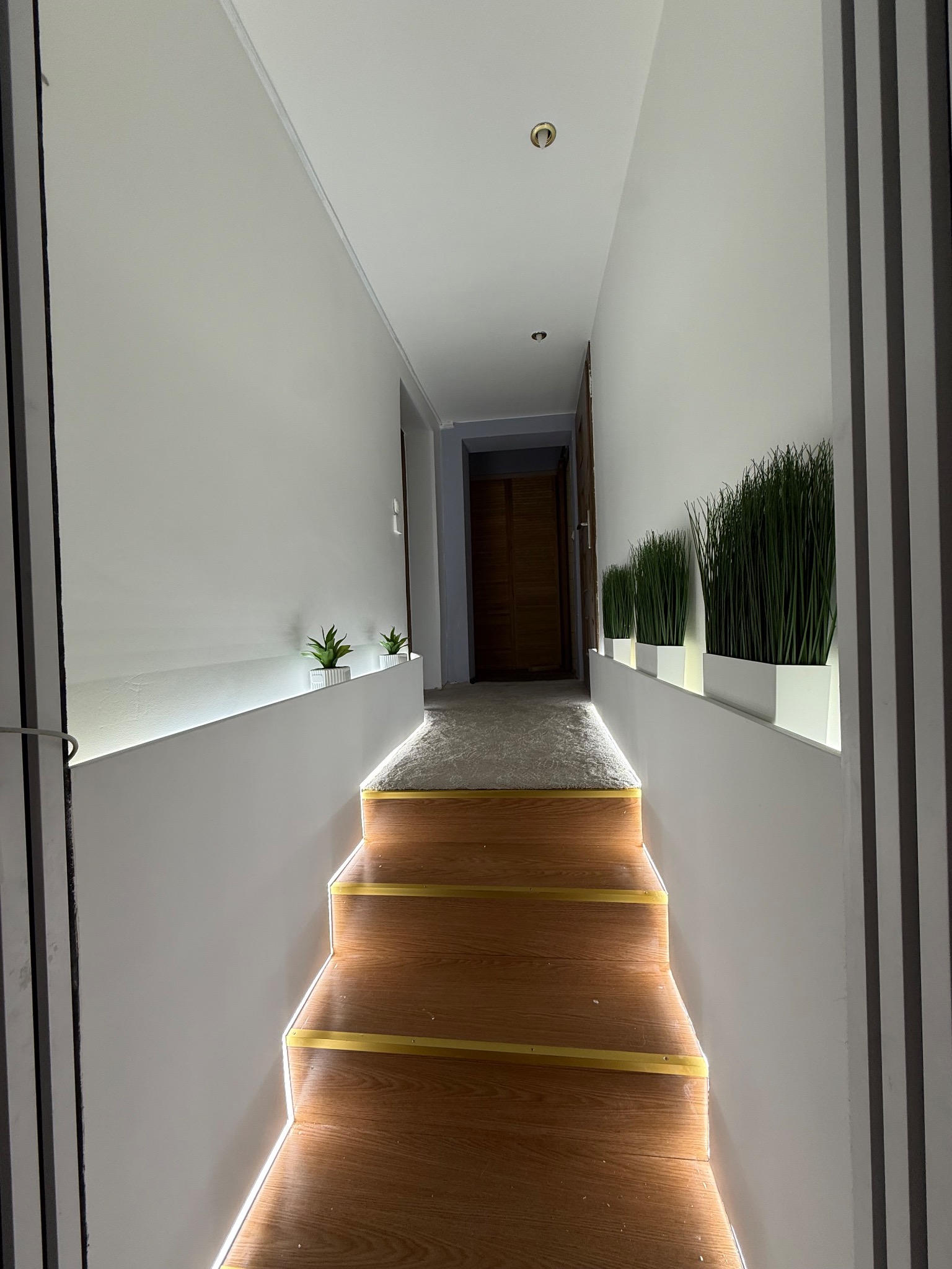 Nowoczesny korytarz z oświetleniem LED wzdłuż schodów i ścian, minimalistyczne donice z roślinami, świeżo pomalowane ściany w odcieniach bieli.