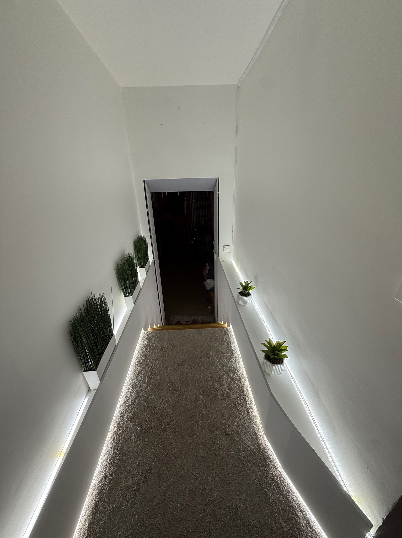 Białe wnętrze korytarza z oświetleniem LED i roślinami w doniczkach, prowadzące do ciemnego pomieszczenia. Minimalistyczny design z akcentami zieleni.