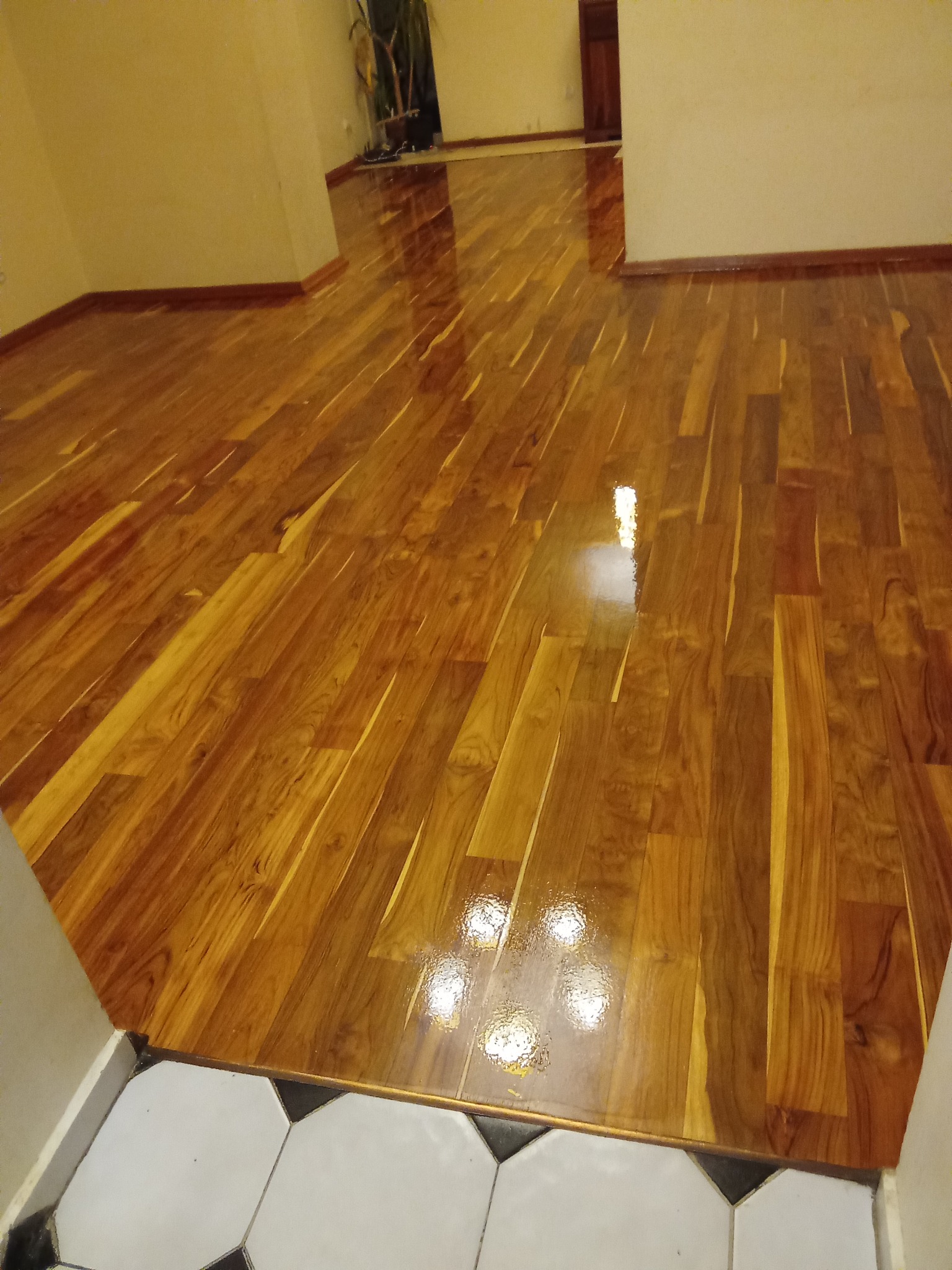 Błyszcząca, świeżo polakierowana podłoga parkietowa z wyraźnym rysunkiem drewna, odbijająca światło w przestronnym wnętrzu z białymi ścianami i rośliną w tle.