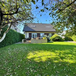 NKK Nieruchomości Natalia Kucharska - Dom jednorodzinny z brązowym dachem i oknami, otoczony zielonym trawnikiem z opadłymi liśćmi, widziany zza drzew w słoneczny dzień.