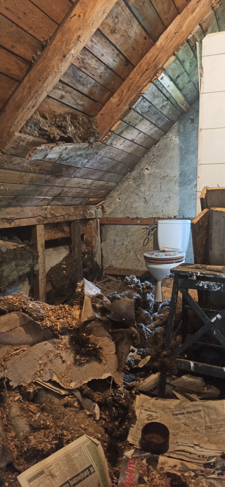 Zdjęcie poddasza w trakcie demontażu starej łazienki. Widoczne drewniane elementy konstrukcyjne, gruz, stara toaleta i gazety na podłodze. Ujęcie z góry.