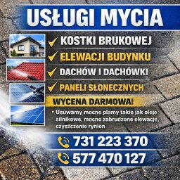 Mycie kostki brukowej, Legnica okolice Dolny Śląsk - Firma Malarska Legnica