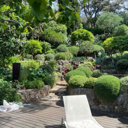 Son-Car - Ogród z kamiennymi ścieżkami i bujną roślinnością, widok z drewnianego tarasu z leżakiem. Marmurowe płyty i folia na tarasie sugerują prace wykończeniowe.