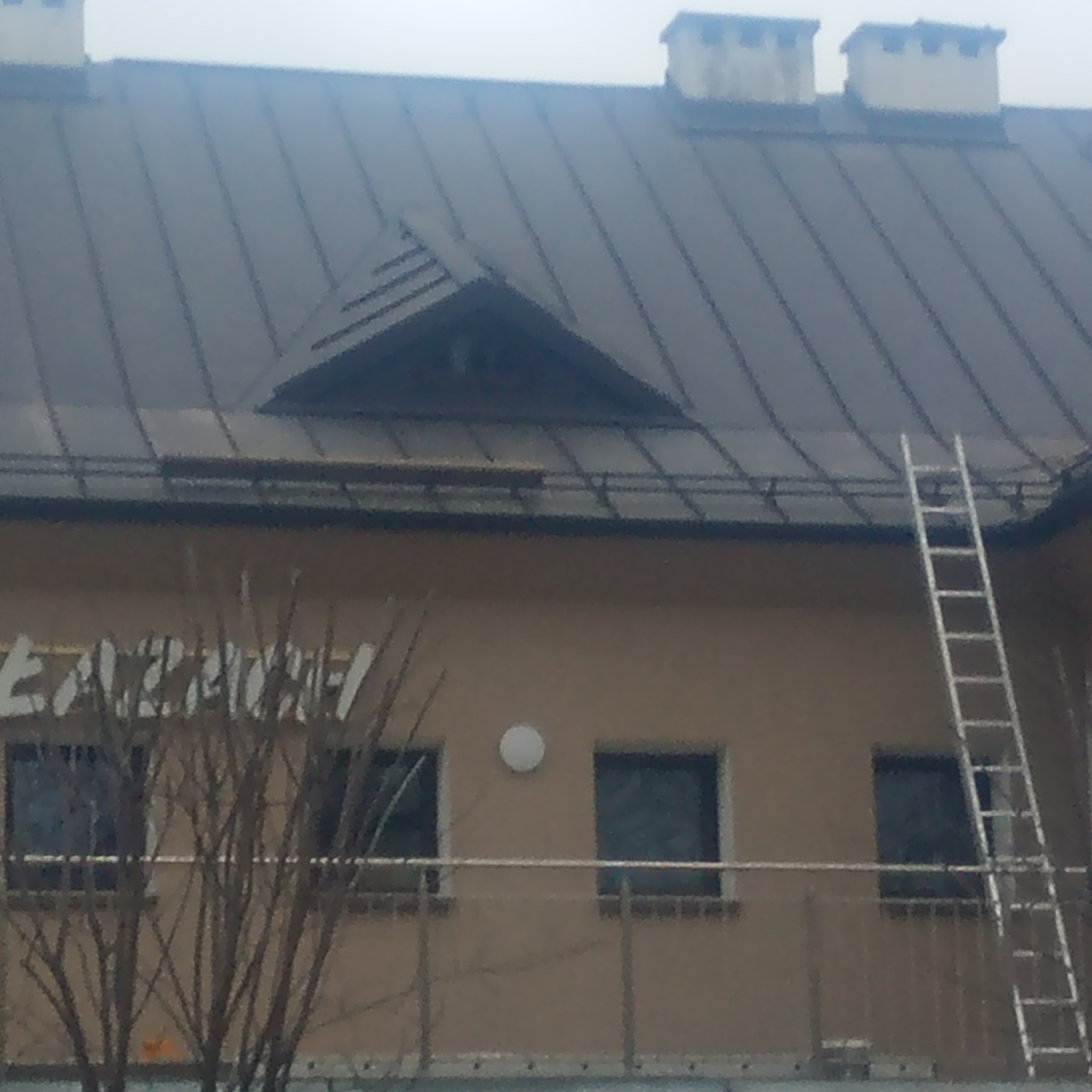 Szary dach z blachy z trójkątnym lukarną i dwoma kominami. Aluminiowa drabina oparta o budynek. Widoczne fragmenty elewacji i drzewa.