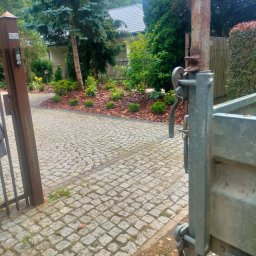 Usługi ogrodnicze - Brukowany podjazd z kostki, prowadzący do domu, otoczony zadbanym ogrodem z korą, krzewami i dużym świerkiem srebrnym. Na pierwszym planie fragment bramy i przyczepy.