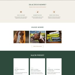 Sławomir Kulig - Strona internetowa stadniny koni 'W Siodle' z hasłem 'Wolność zaczyna się w siodle' i zdjęciem białego konia w galopie na tle zieleni. Estetyczny design i czytelna nawigacja.