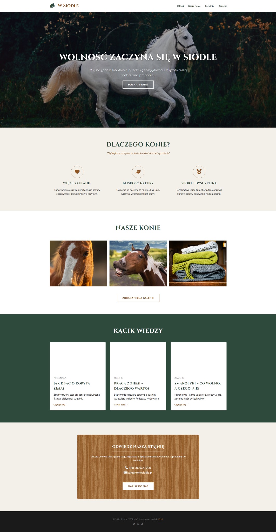 Strona internetowa stadniny koni 'W Siodle' z hasłem 'Wolność zaczyna się w siodle' i zdjęciem białego konia w galopie na tle zieleni. Estetyczny design i czytelna nawigacja.