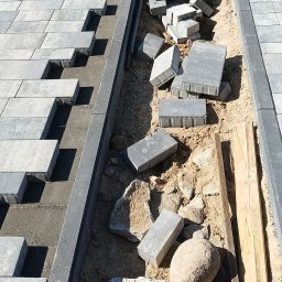 Ogrodowa Moc - Sadzenie drzew i krzew&oacute;w Szczytno