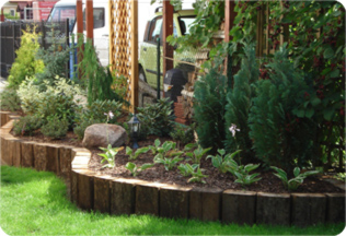 zakładanie i oielęgnacja ogrodów