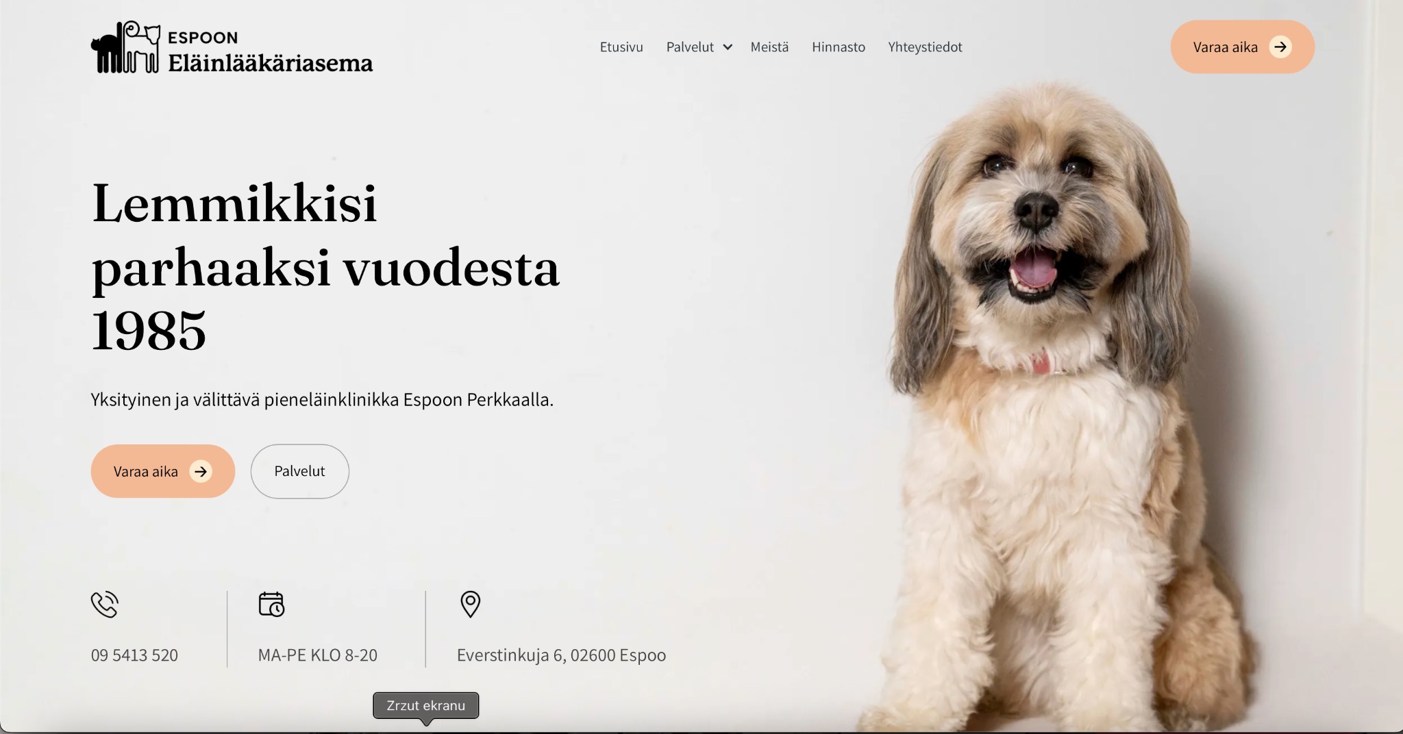 Zrzut ekranu strony internetowej kliniki weterynaryjnej z wizerunkiem psa rasy Shih Tzu. Minimalistyczny design, jasne tło, nawigacja w górnej części, przyciski CTA i dane kontaktowe.