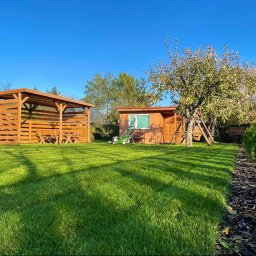 USŁUGI LEŚNE-ROLNE 