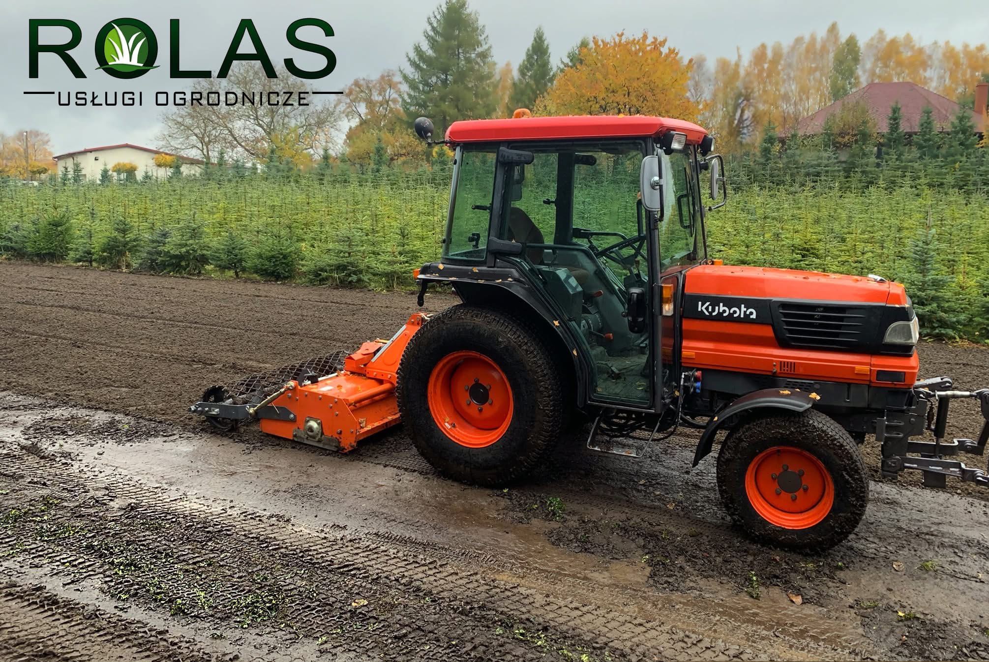 Pomarańczowy traktor Kubota z glebogryzarką na polu, w tle rządki małych drzewek iglastych i budynek. Pochmurny dzień.