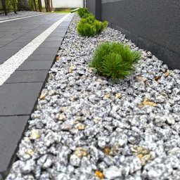 B&B Garden Usługi Ogrodnicze Hubert Rozynek - Ścieżka z kostki brukowej obok ściany budynku, wysypana ozdobnym kamieniem i obsadzona karłowatymi iglakami w Wolsztynie.