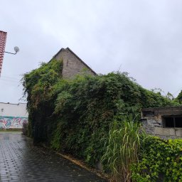 B&B Garden Usługi Ogrodnicze Hubert Rozynek - Zarośnięty budynek z kamienia i cegły, obrośnięty gęstą zielenią, z widoczną częścią dachu i okna. Obok chodnik z kostki brukowej i fragment budynku z czerwoną dachówką.