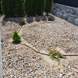 B&B Garden Usługi Ogrodnicze Hubert Rozynek - Ogród z nasadzeniami iglaków, wysypany drobnymi kamieniami, z widocznym systemem nawadniania. Nowoczesne ogrodzenie w tle.