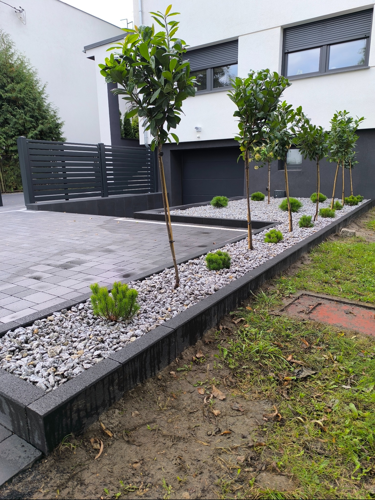 Nowoczesny ogród z rzędem drzewek i ozdobnymi krzewami, wysypany białym kamieniem, obrzeża z kostki brukowej. Minimalistyczny design ogrodu.