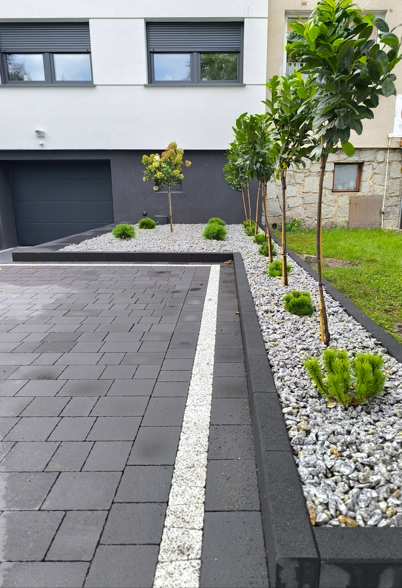 Nowoczesny ogród z równo posadzonymi drzewkami i krzewami, wysypany białym kamieniem, obok wyłożony kostką brukową. Minimalistyczny design.