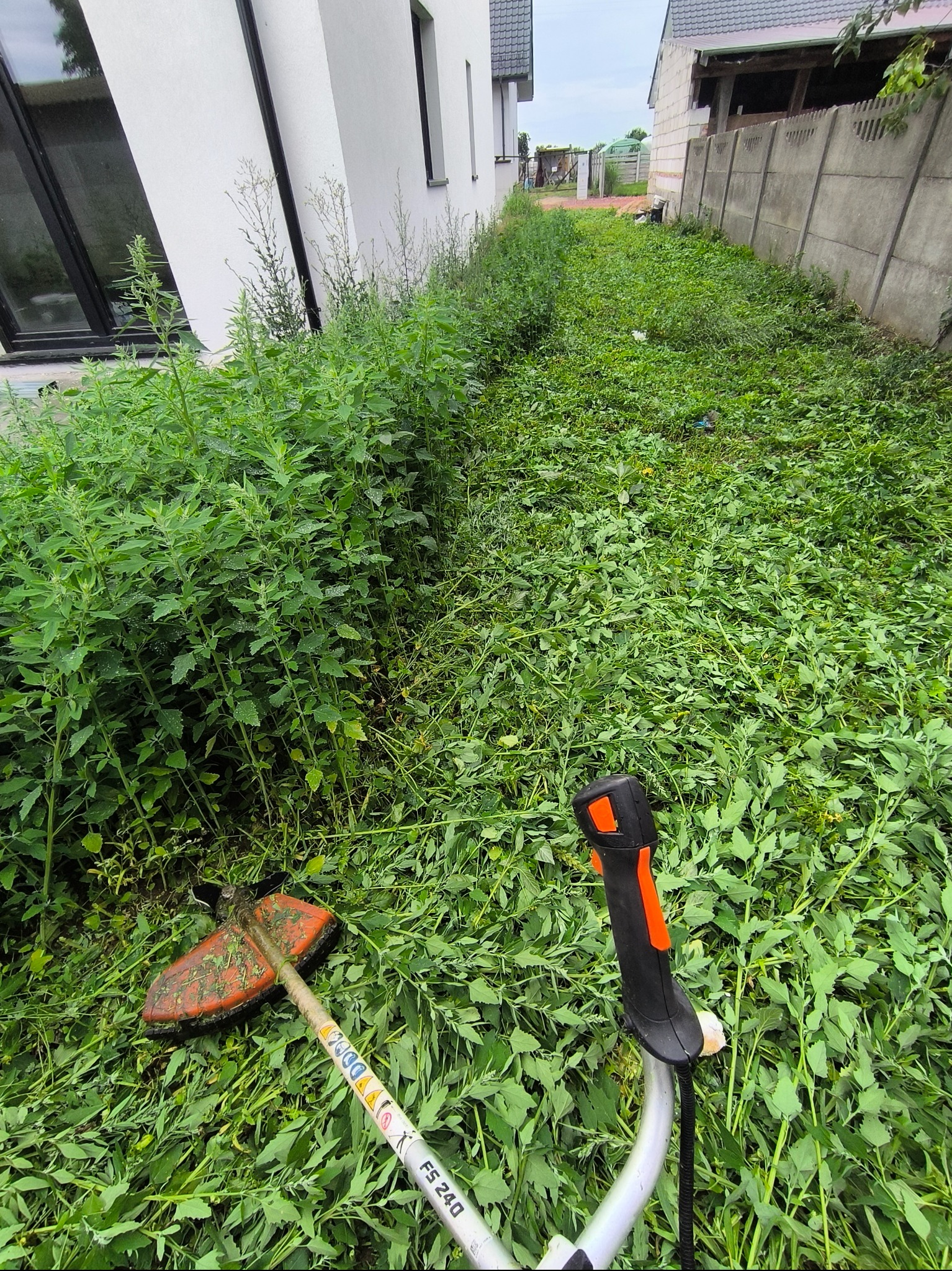 Zarośnięty teren po koszeniu, widoczna kosa spalinowa FS 240 i świeżo skoszona trawa. Częściowo skoszony pas zieleni wzdłuż budynku i betonowego ogrodzenia.