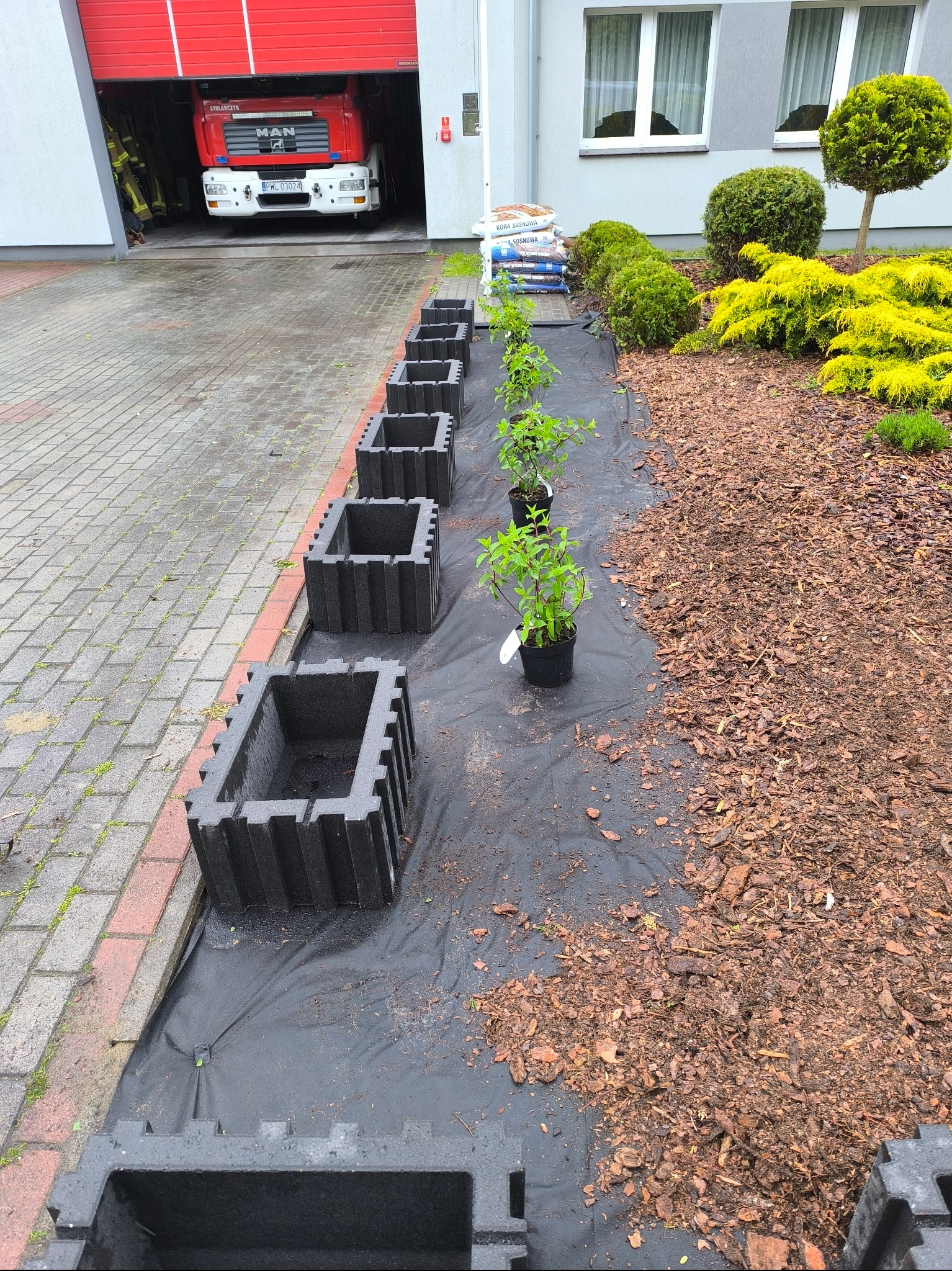 Przygotowanie do nasadzeń: czarne donice ustawione w rzędzie, obok sadzonki w doniczkach na czarnej macie, kora sosnowa, w tle budynek z garażem straży pożarnej.