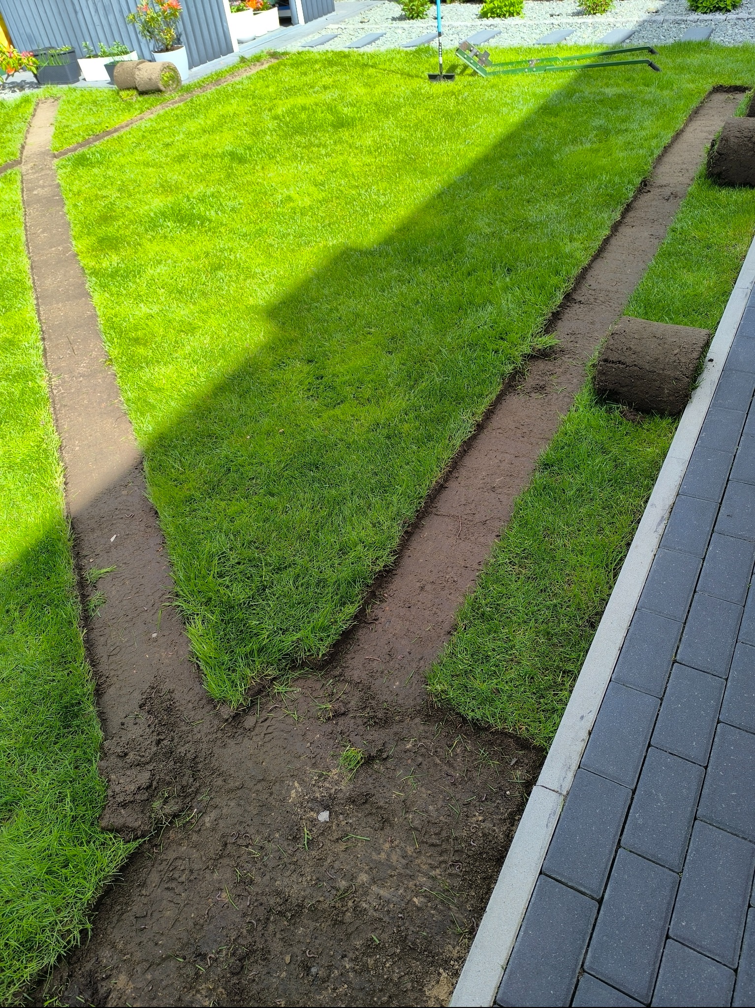 Układanie trawy z rolki wzdłuż ścieżki z kostki brukowej. Widoczne przygotowane podłoże i fragmenty trawy w rolkach. Świeżo założony trawnik w słoneczny dzień.