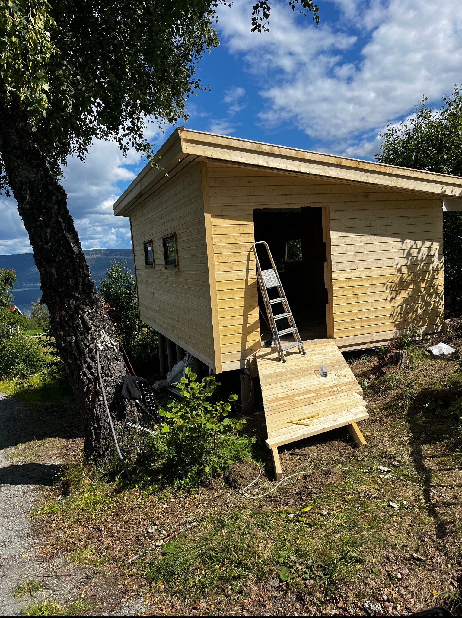 Drewniany domek letniskowy w trakcie budowy, z drabinką opartą o wejście, na tle zieleni i błękitnego nieba z chmurami. Widoczny pień drzewa obok konstrukcji.