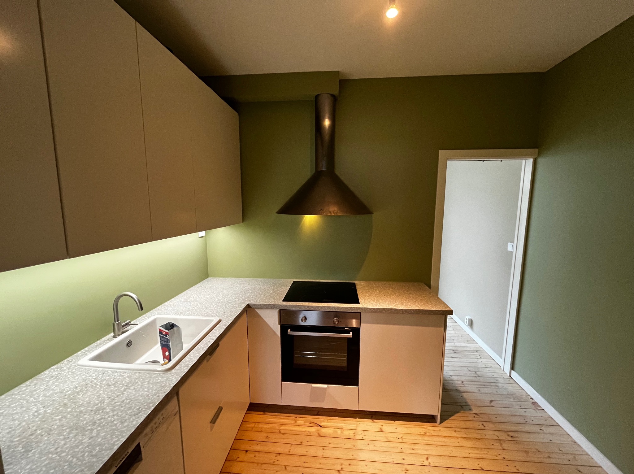 Nowoczesna kuchnia w odcieniach beżu i zieleni z drewnianą podłogą. Widoczny zlew, płyta indukcyjna i okap. Minimalistyczny design, stonowana kolorystyka.