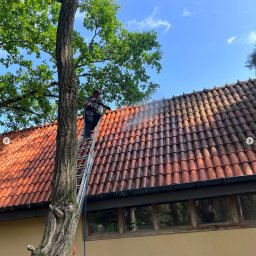 Mazo Wash Krystian Balcerzak - Pracownik na drabinie czyści dach z czerwonej dachówki za pomocą myjki ciśnieniowej. Widoczny efekt czyszczenia, drzewo obok budynku.