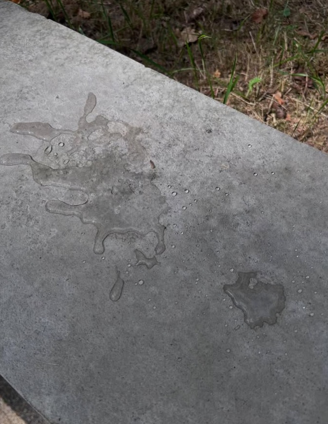 Świeże plamy wody na betonowej powierzchni, prawdopodobnie po czyszczeniu. Widoczne krople i zacieki, tło z zielenią. Ślad po umyciu.