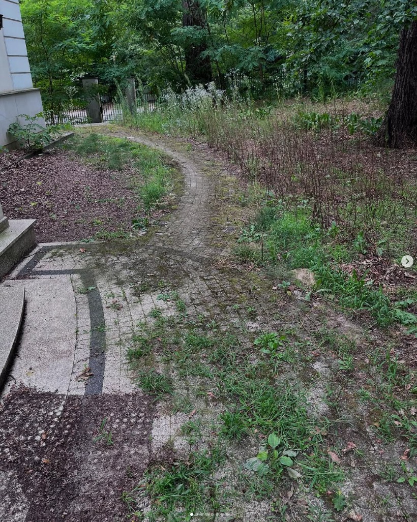 Zarośnięta kostka brukowa ścieżki ogrodowej prowadzącej do furtki, widok z perspektywy niskiego kąta, zarośla i drzewa w tle.
