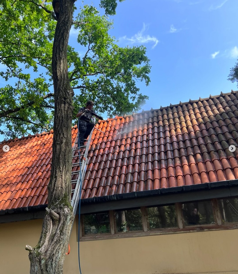Pracownik na drabinie czyści dach z czerwonej dachówki za pomocą myjki ciśnieniowej. Widoczny efekt czyszczenia, drzewo obok budynku.