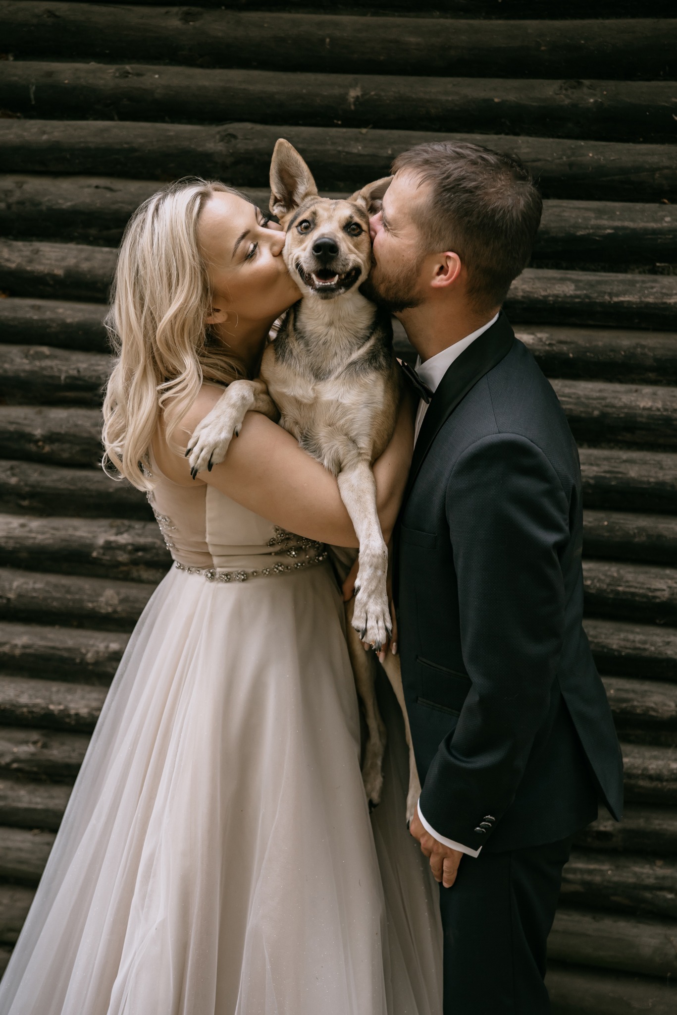 Uśmiechnięty pies całowany przez parę w strojach ślubnych na tle drewnianej ściany. Nietypowe ujęcie z ceremonii, bliskość i radość.