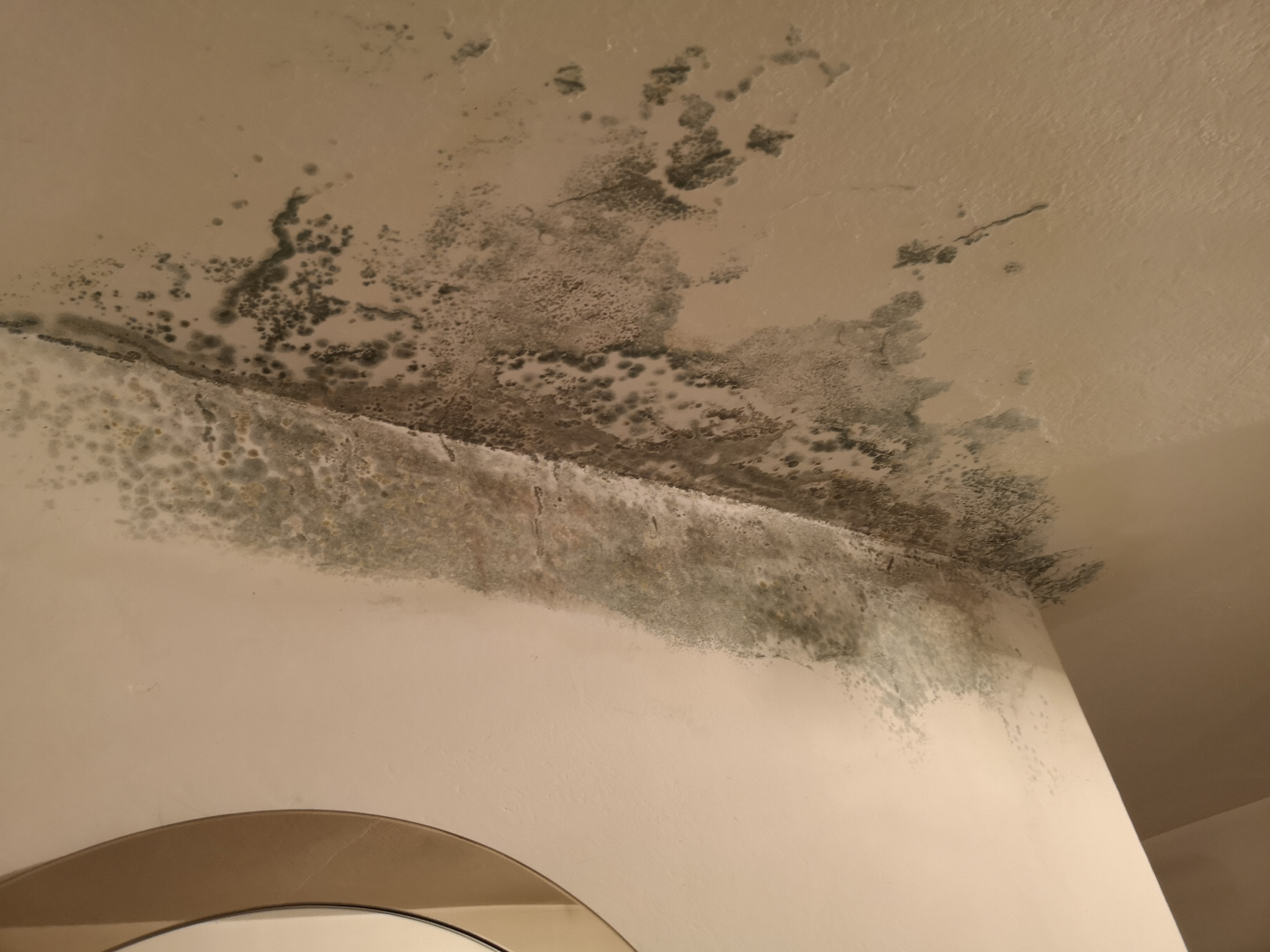 Zacieki i pleśń na styku ściany i sufitu w rogu pomieszczenia. Widoczne ciemne plamy i wykwity. Fragment lustra w dolnej części kadru.