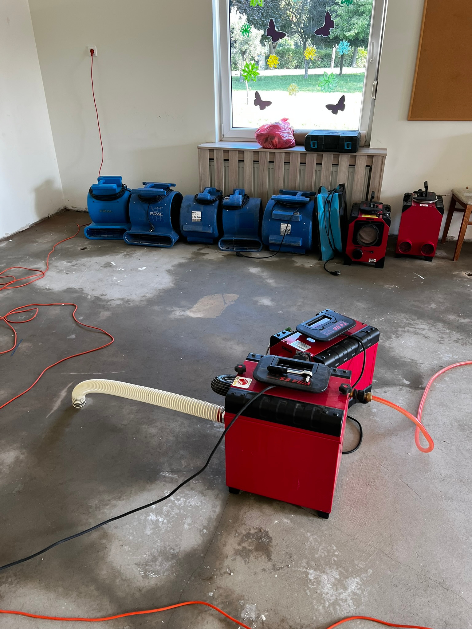 Sprzęt do usuwania wilgoci: czerwone i niebieskie urządzenia na mokrej posadzce w pomieszczeniu z oknem ozdobionym motylami i kwiatami. Widoczne kable i węże.