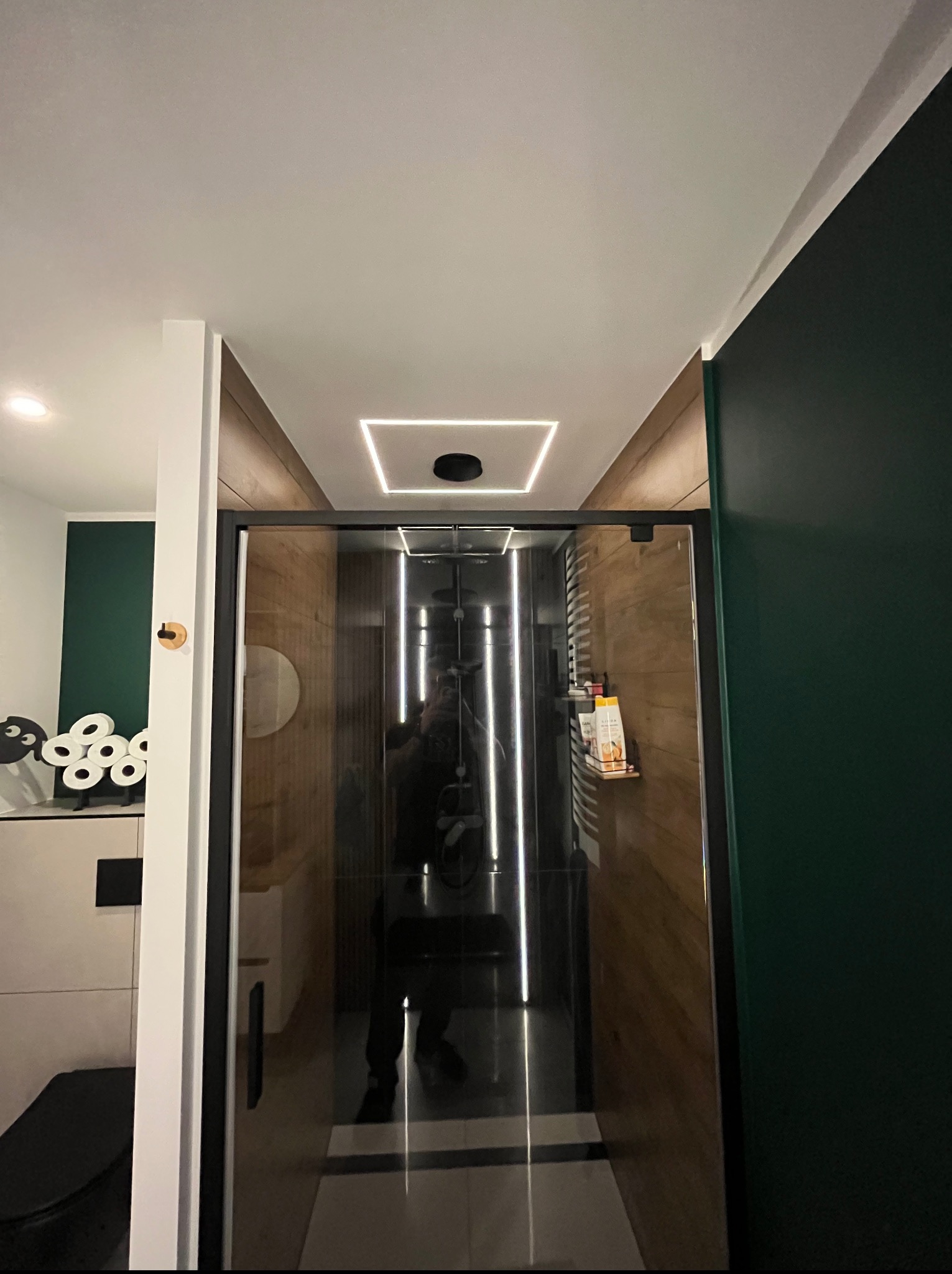 Nowoczesna łazienka z kabiną prysznicową, podświetleniem LED w suficie i pionowymi paskami świetlnymi wewnątrz kabiny. Widoczne elementy drewniane i ciemnozielona ściana.