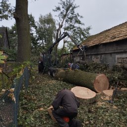 KOL-DREW Kuświk Kornel - Wycinka Drzew Brzeźnio