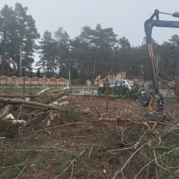 Wycinka drzew Brzeźnio 1
