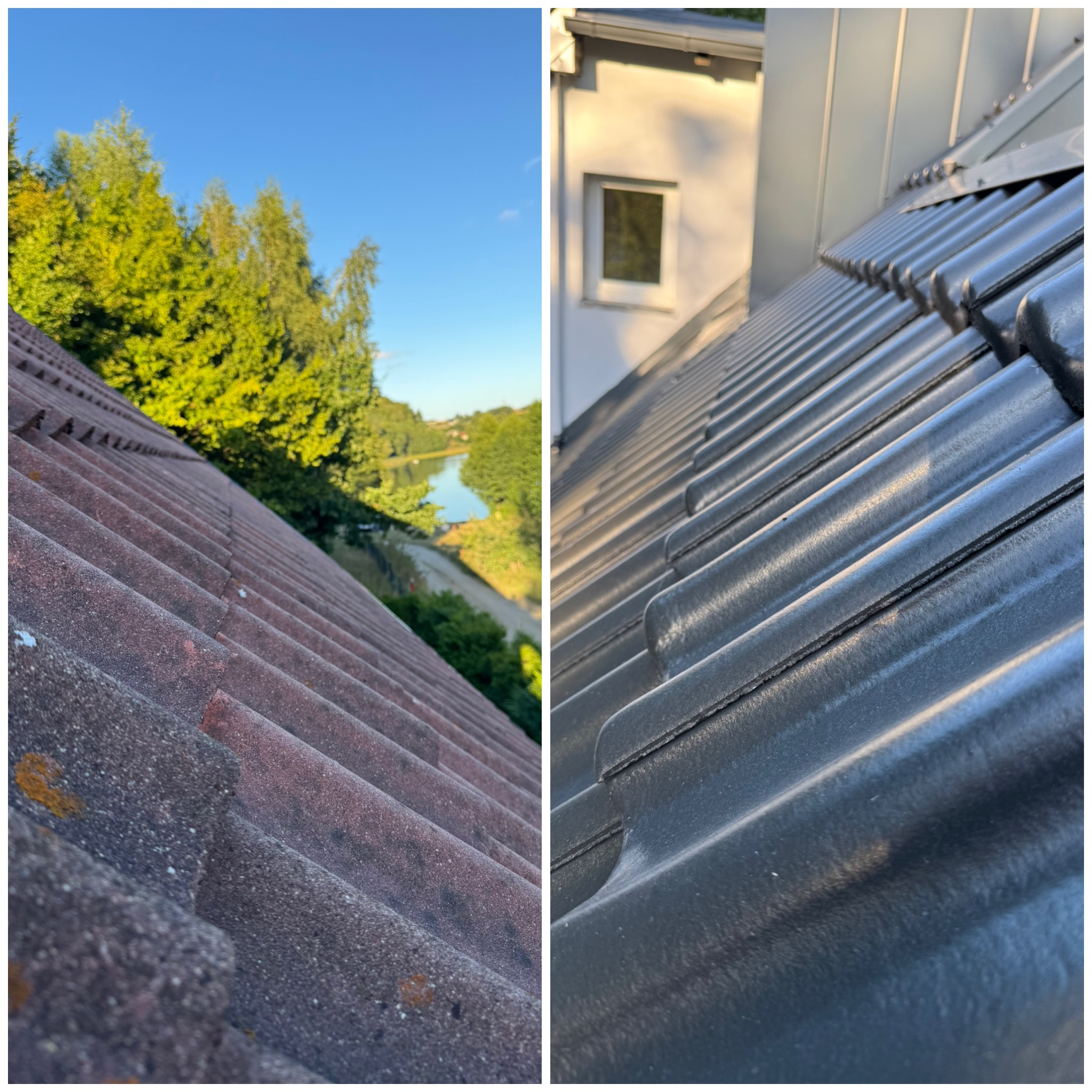 Zdjęcie dachu przed i po malowaniu. Po lewej stronie dach pokryty mchem, po prawej czysty, pomalowany dach. W tle zieleń i błękitne niebo.