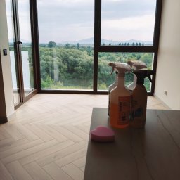 Promar kompleksowe usługi sprzątające - Nowoczesne wnętrze z dużym oknem, ukazującym górzysty krajobraz i bujną zieleń. Na blacie stoją dwie butelki z płynami do czyszczenia i różowa gąbka w kształcie serca. Podłoga w jasną jodełkę.