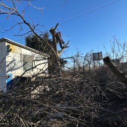 Wycinka drzew Nowa Ruda 4