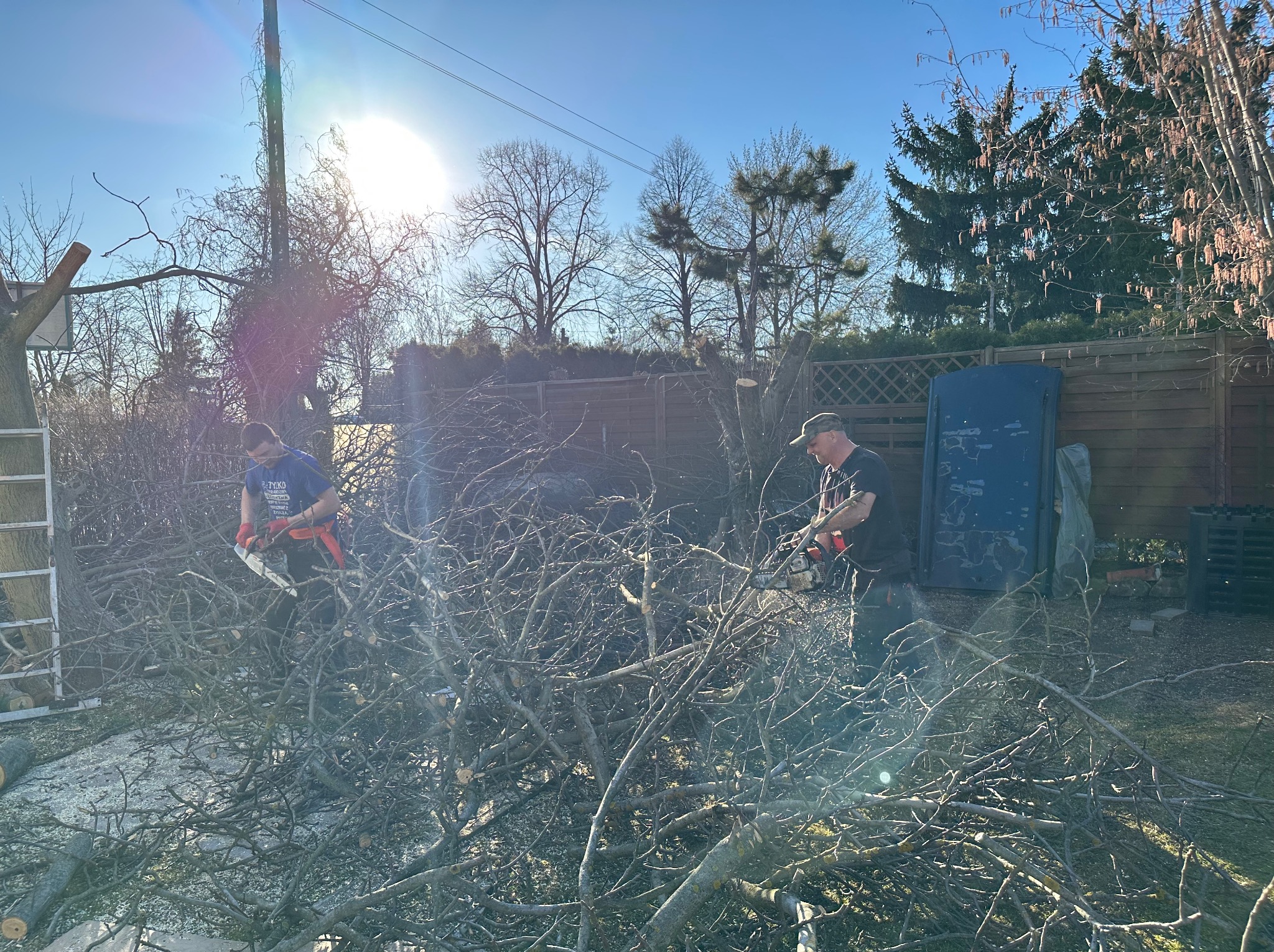 Dwóch mężczyzn z piłami spalinowymi tnie gałęzie drzewa w ogrodzie w słoneczny dzień. Na pierwszym planie sterta pociętych gałęzi.