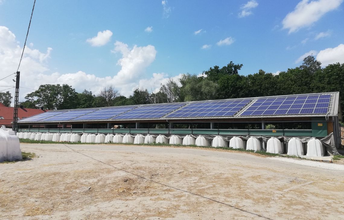 Długa farma z panelami słonecznymi na dachu, otoczona zielenią i błękitnym niebem. Widoczne białe zbiorniki wzdłuż budynku. Ujęcie w słoneczny dzień.