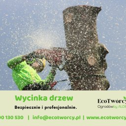 Robert Pilecki Consulting - Arborysta w akcji: wycinka drzewa piłą łańcuchową, w powietrzu unoszą się wióry. Ujęcie z dołu, widoczny fragment pnia i pracownik w kasku i odzieży ochronnej.