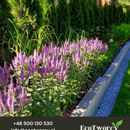 Robert Pilecki Consulting - Kwitnąca rabata z lawendowymi kwiatami, obrzeże z szarej kostki, rząd tuj i trawy ozdobne w tle. Starannie zaprojektowany i wykonany ogród.