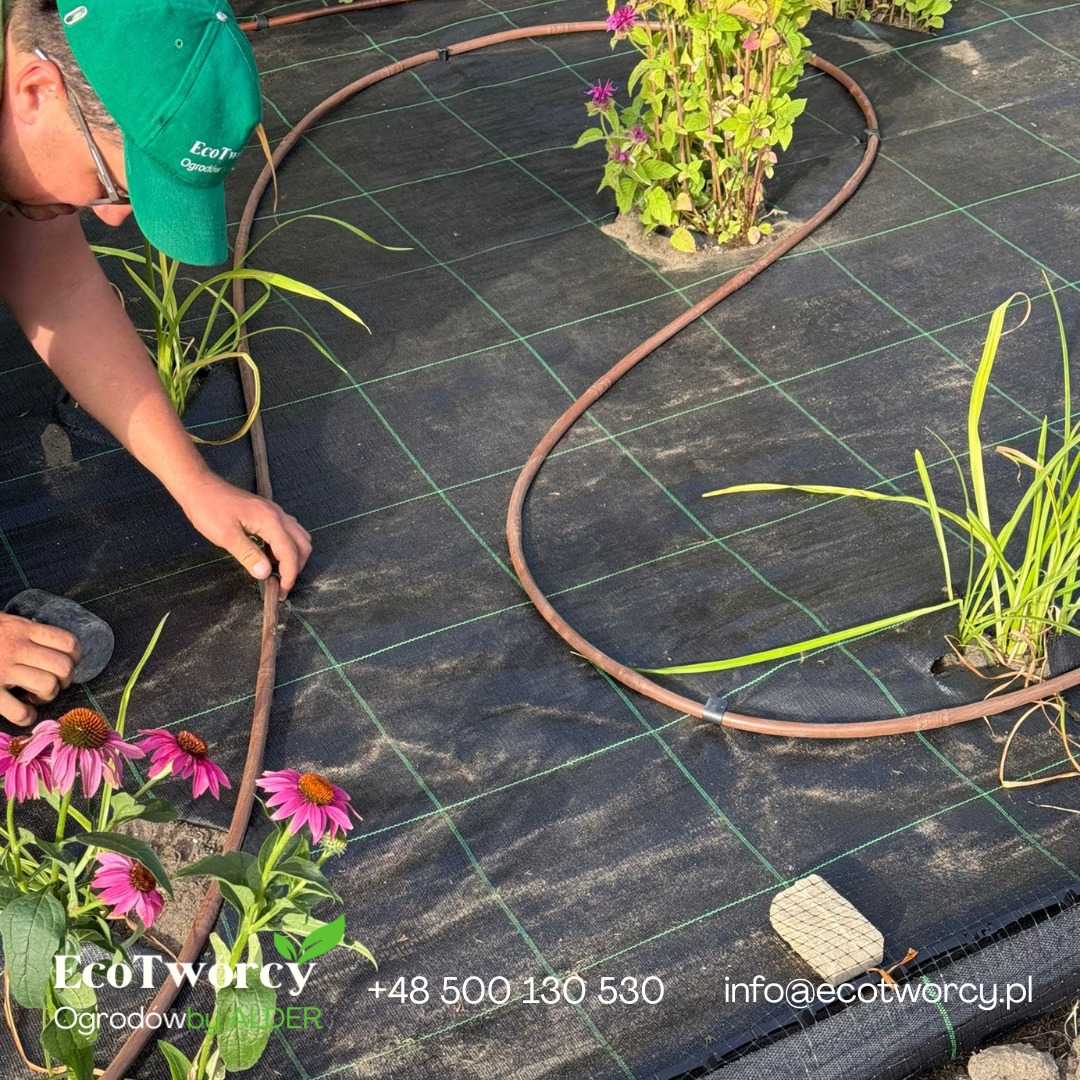 Instalacja systemu nawadniania kropelkowego na czarnej macie szkółkarskiej z zieloną siatką, widoczne kwiaty i trawy, osoba w trakcie montażu.